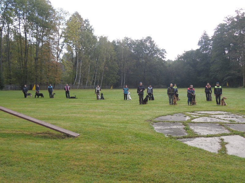 dscn3100.jpg