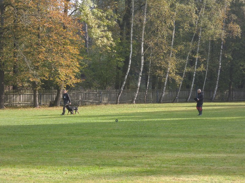 dscn3112.jpg