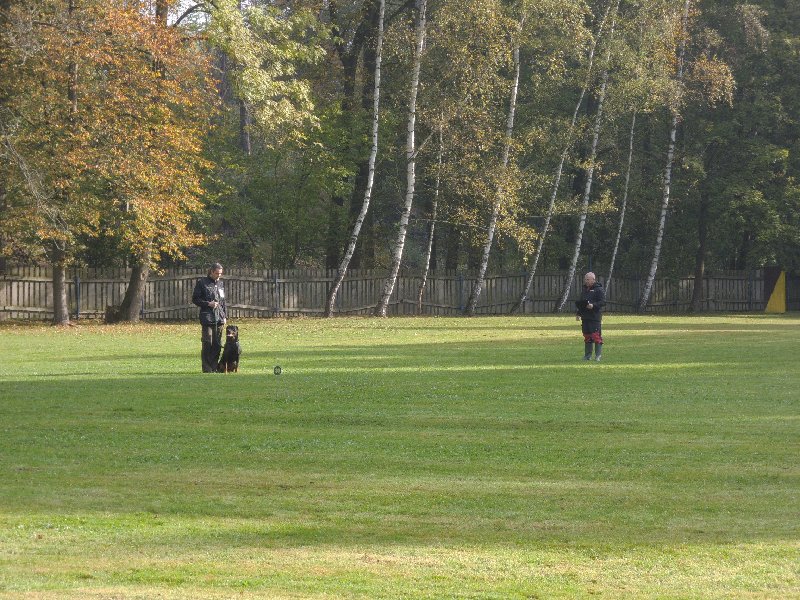 dscn3113.jpg