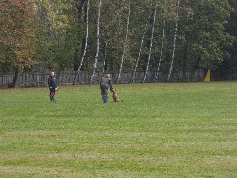 dscn3117.jpg