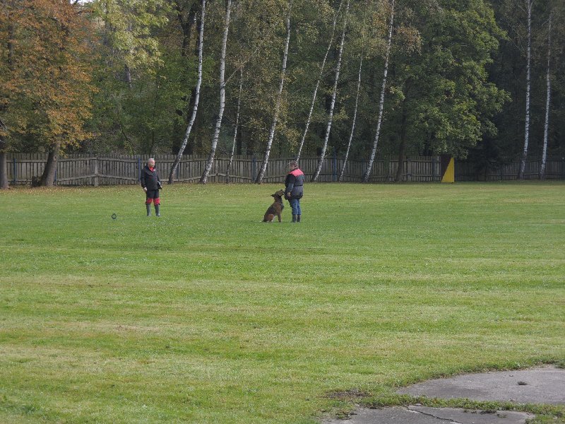 dscn3118.jpg