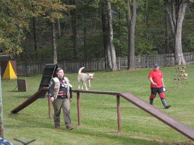 dscn3120.jpg