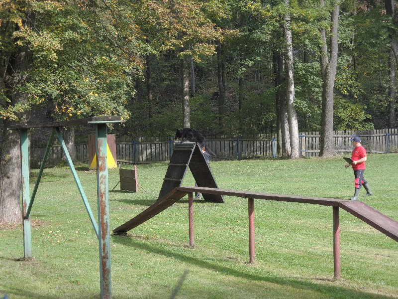 dscn3121.jpg