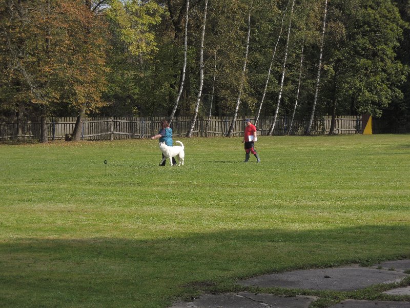 dscn3124.jpg