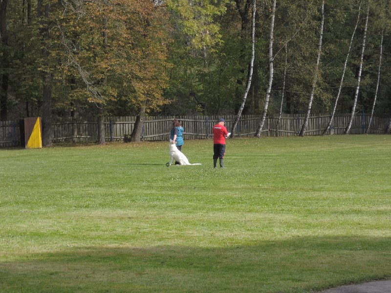 dscn3126.jpg