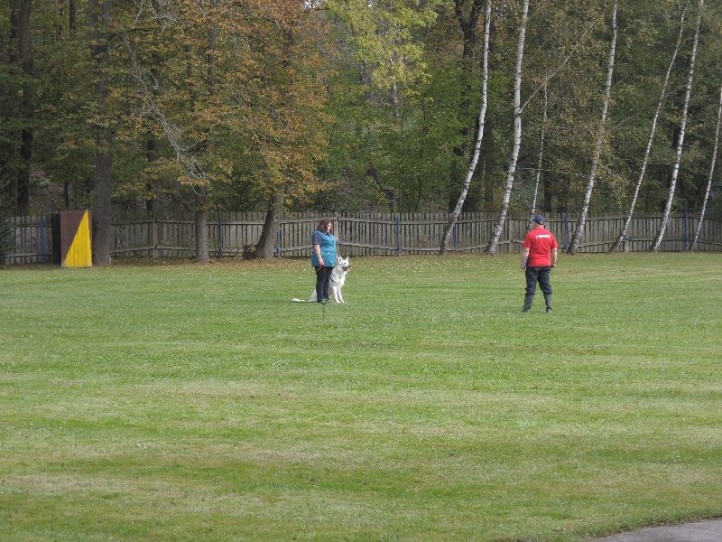 dscn3128.jpg