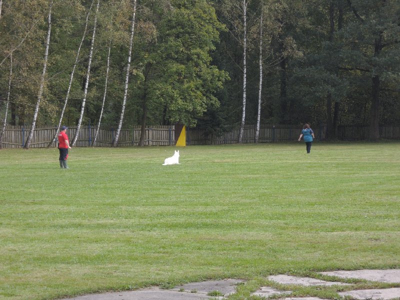 dscn3131.jpg
