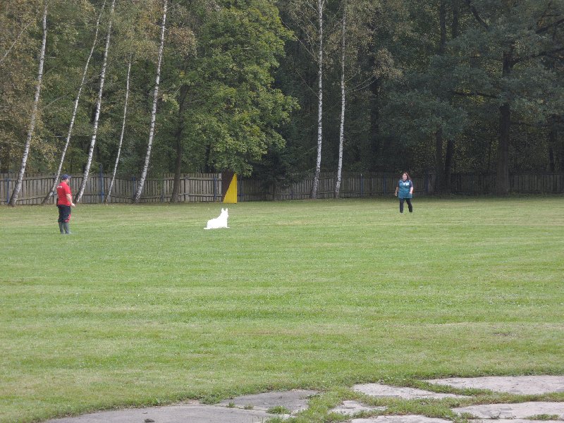 dscn3132.jpg