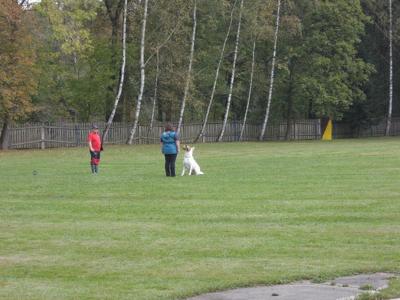 dscn3135.jpg