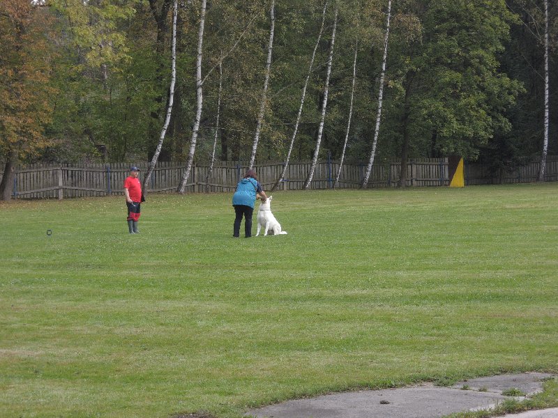 dscn3136.jpg