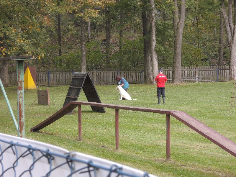 dscn3138.jpg