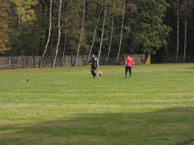 dscn3144.jpg