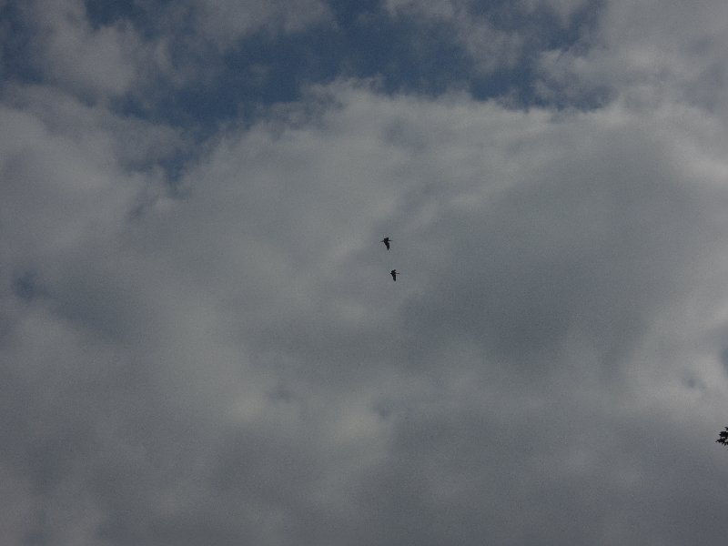 dscn3154.jpg