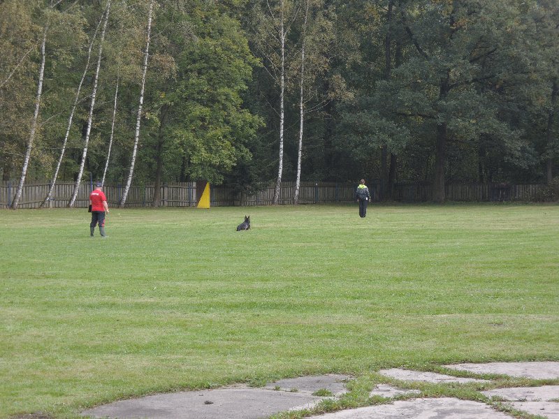 dscn3155.jpg