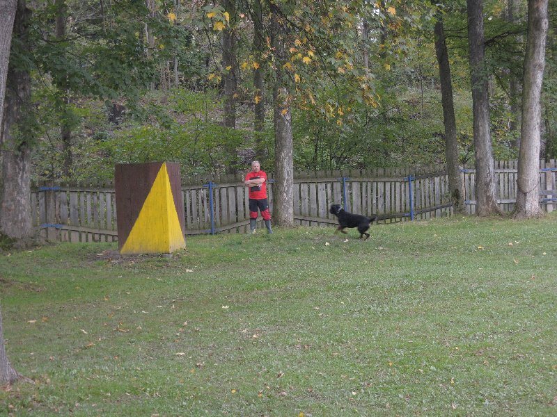 dscn3164.jpg