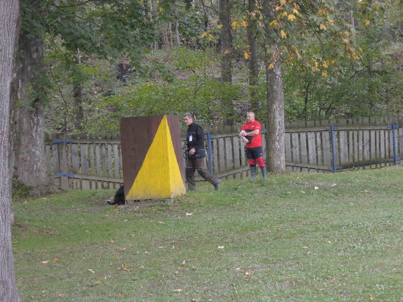dscn3165.jpg