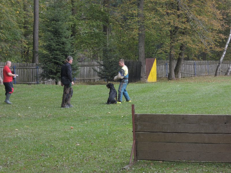 dscn3168.jpg