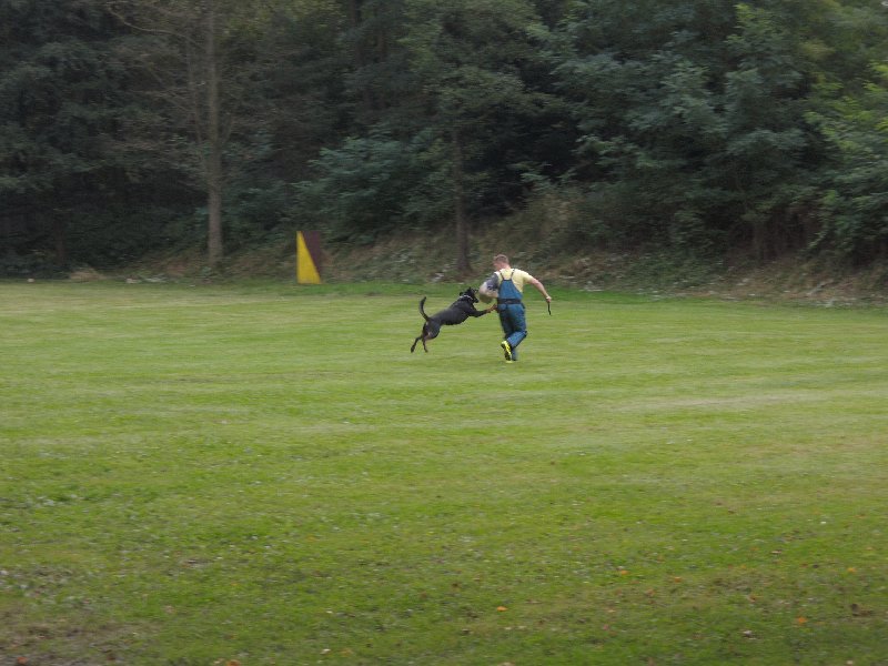 dscn3169.jpg