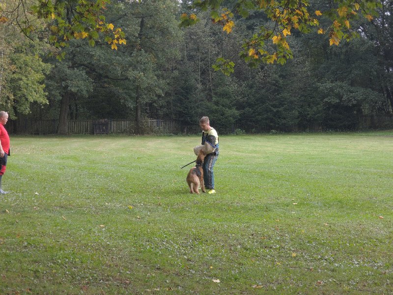 dscn3179.jpg