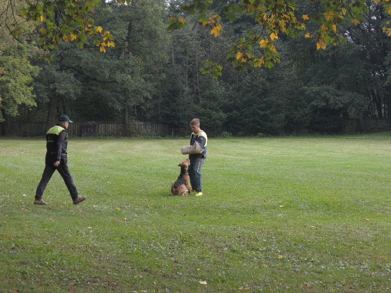 dscn3180.jpg