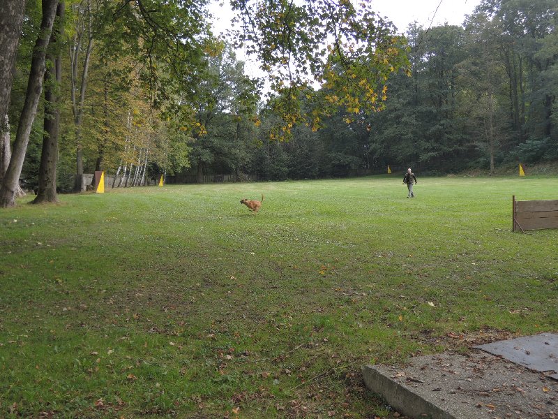 dscn3183.jpg