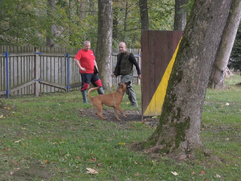 dscn3187.jpg