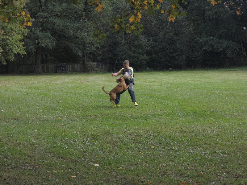 dscn3189.jpg