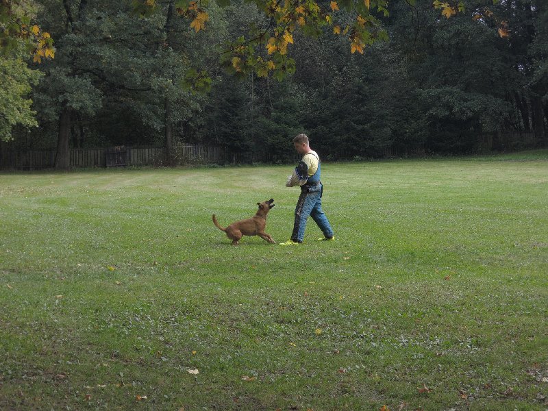 dscn3190.jpg