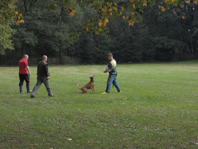 dscn3191.jpg