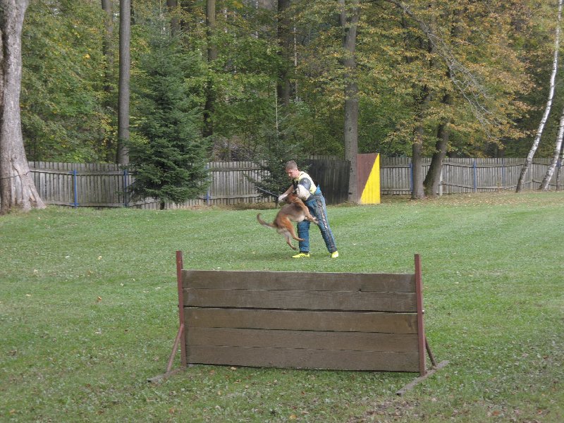 dscn3193.jpg