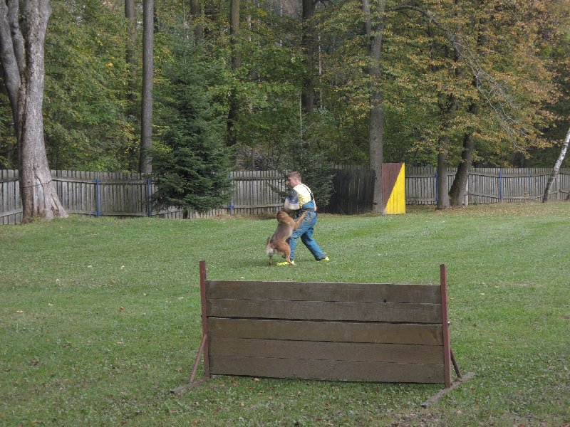 dscn3194.jpg