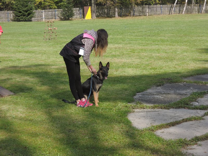 dscn3199.jpg