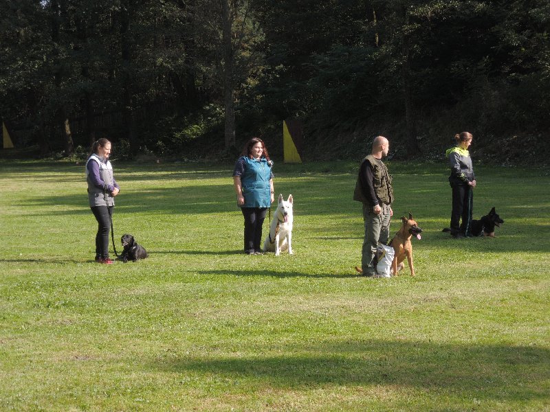 dscn3208.jpg