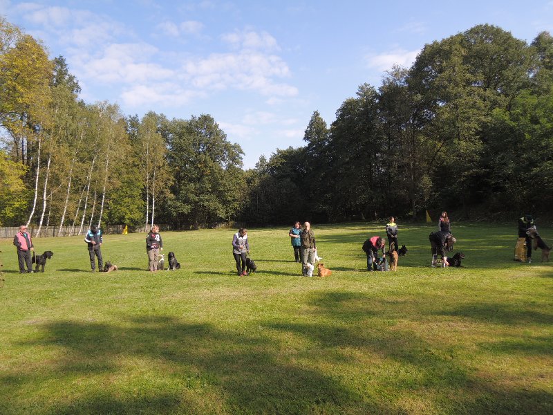 dscn3220.jpg