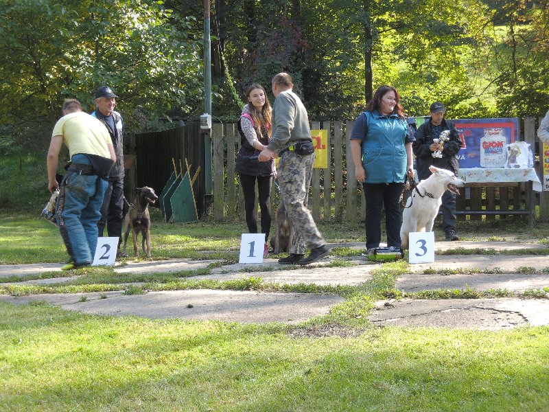 dscn3227.jpg