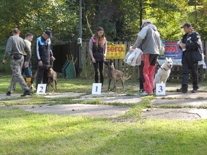 dscn3228.jpg