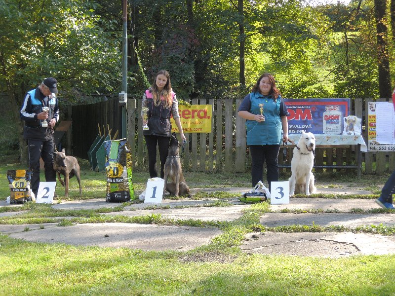dscn3232.jpg