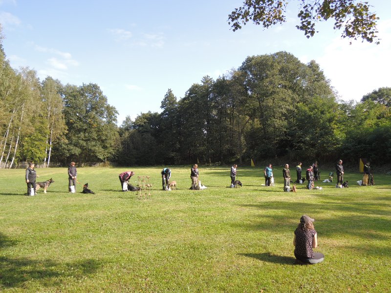 dscn3248.jpg