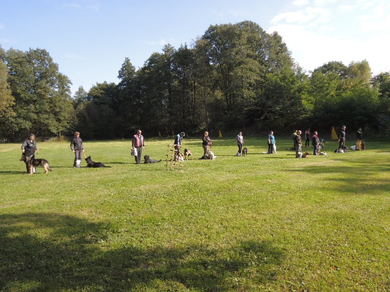 dscn3254.jpg