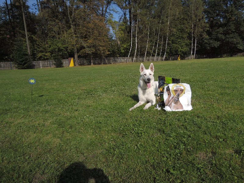 dscn3259.jpg