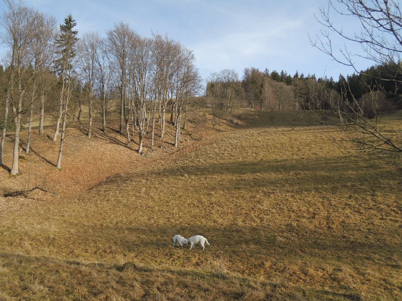 dscn8874.jpg
