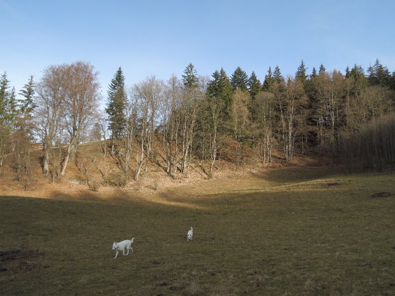 dscn8879.jpg