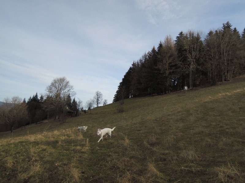 dscn8895.jpg