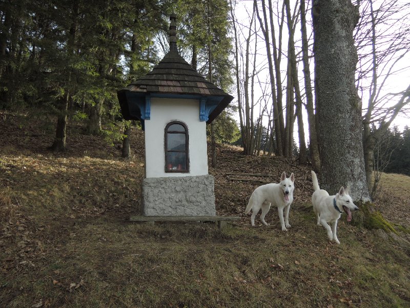 dscn8911.jpg