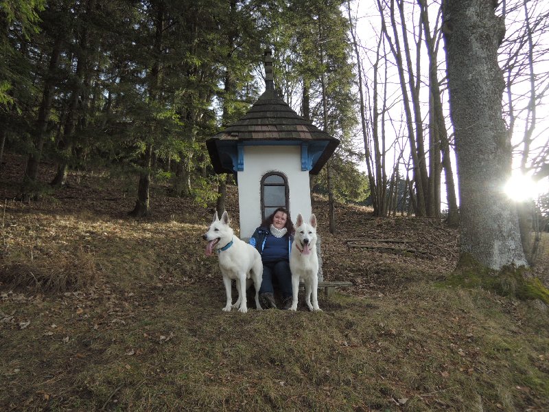 dscn8915.jpg