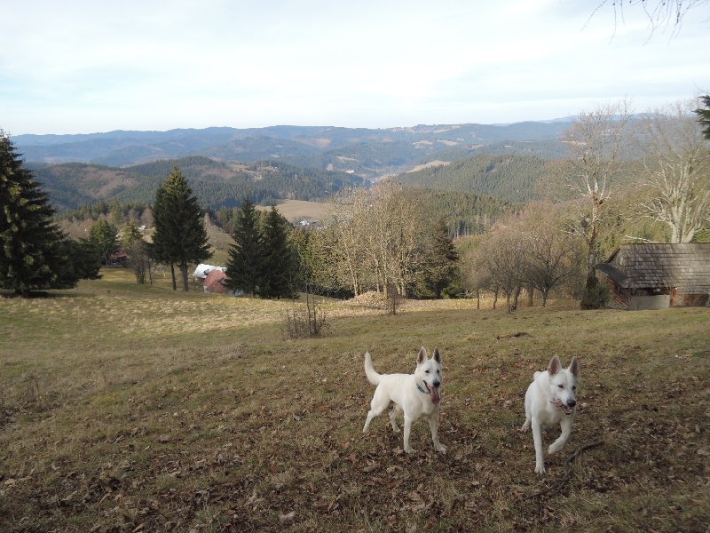 dscn8923.jpg