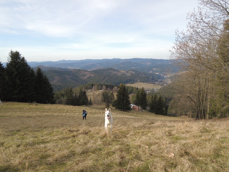 dscn8926.jpg