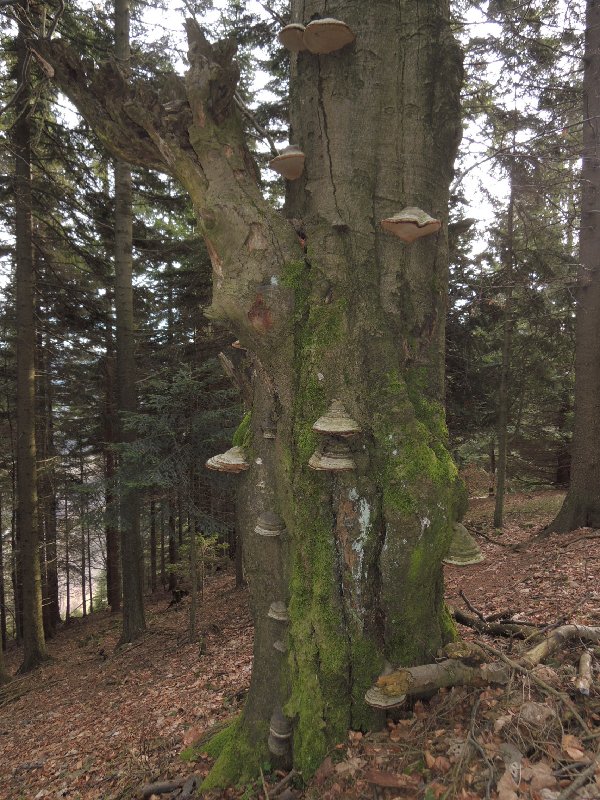 dscn8960.jpg