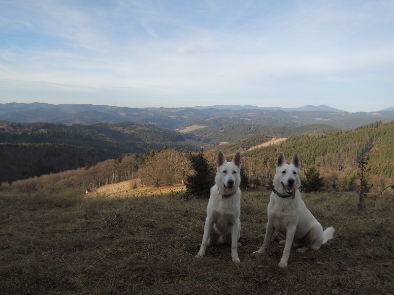 dscn9018.jpg