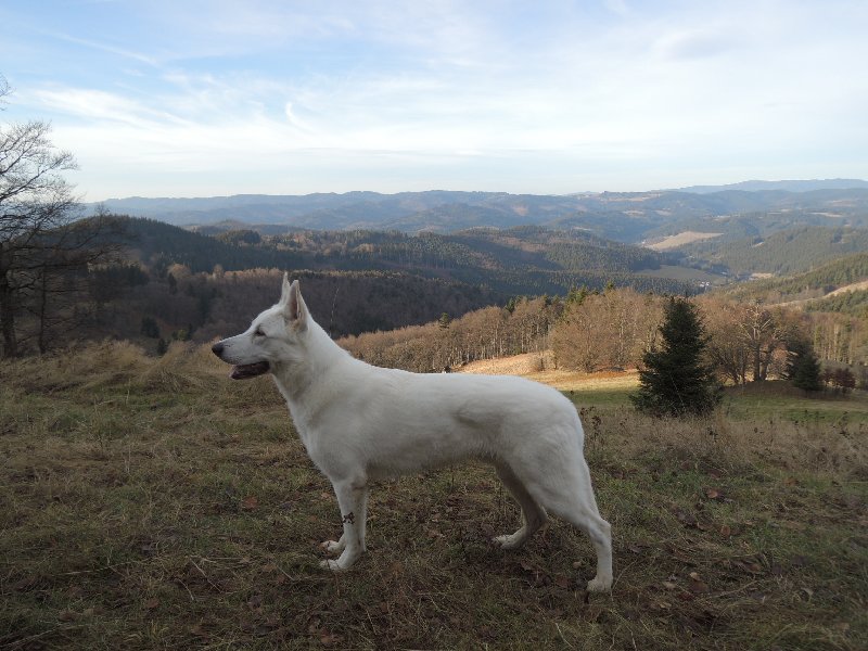 dscn9028.jpg